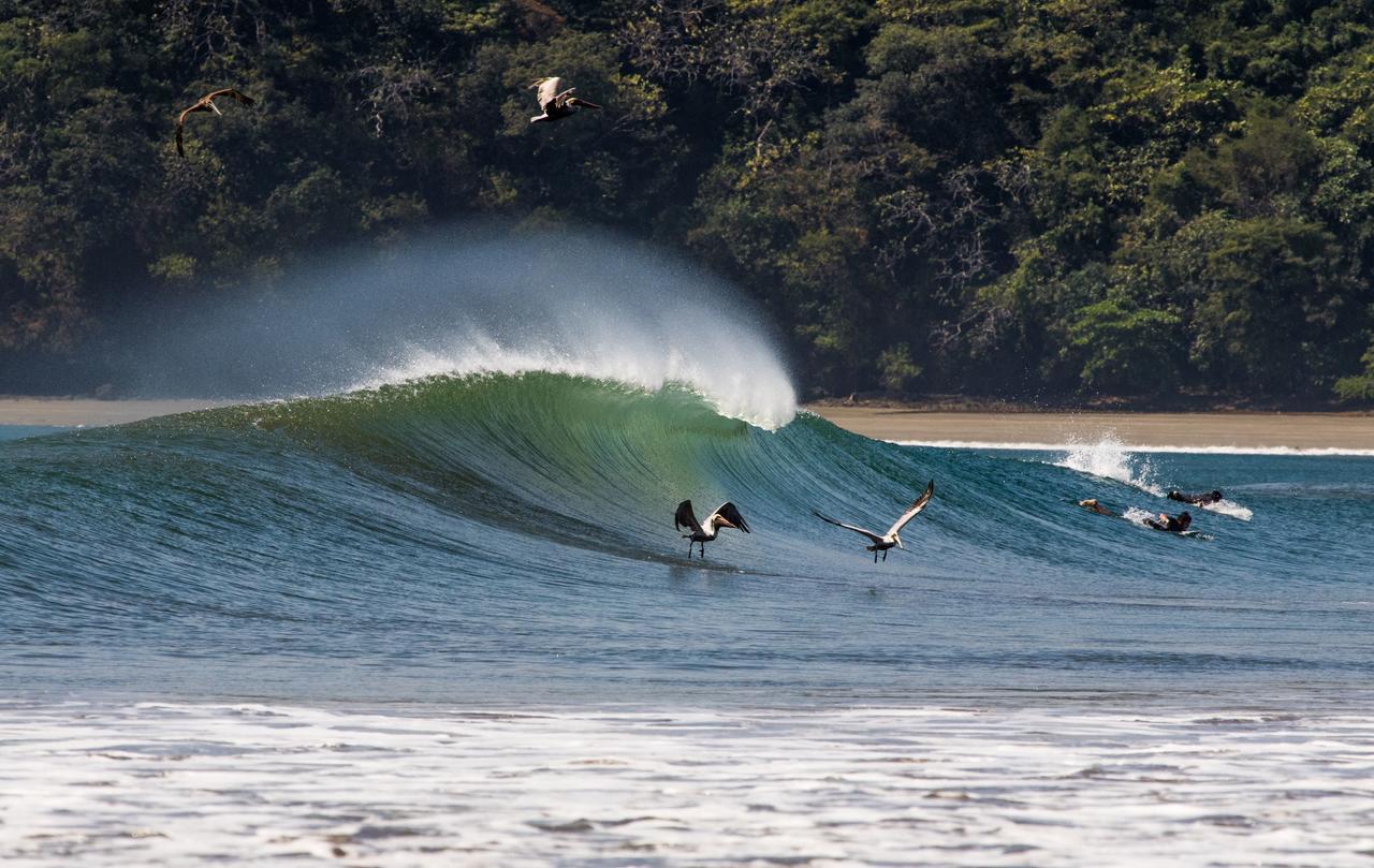 Beach Break Hotel & Surf Camp De Playa Venao Ngoại thất bức ảnh